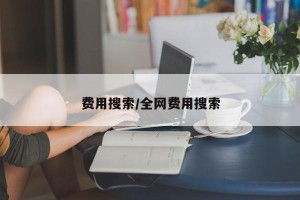 费用搜索/全网费用搜索
