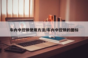 车内中控锁使用方法/车内中控锁的图标